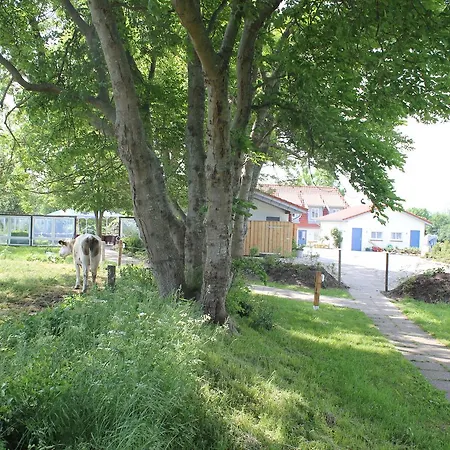 Ostseehotel Hunhoi Szálloda Niesgrau